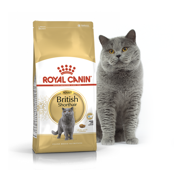 Сухой корм Royal Canin Польша British Shorthair для кошек породы британская короткошерстная