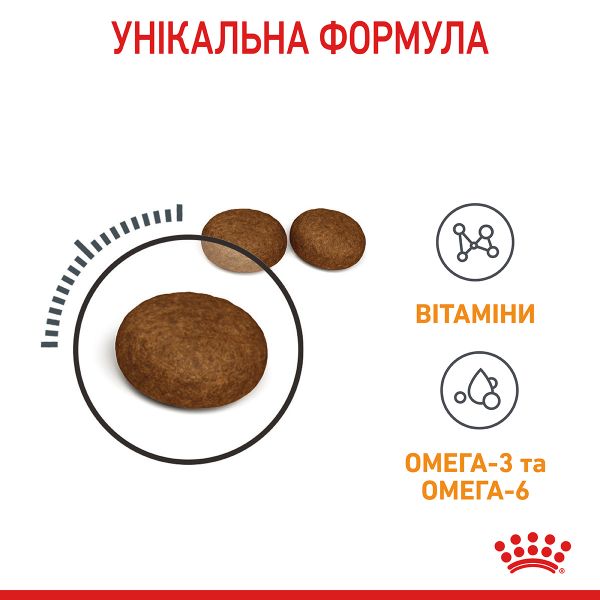 Сухой корм Royal Canin Польша Hair & Skin Care для кошек для здоровья кожи и шерсти
