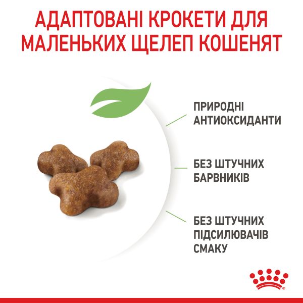 Сухой корм Royal Canin Польша Kitten для котят от 2 до 12 месяцев