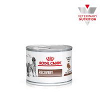 Влажный корм Royal Canin Польша Recovery для кошек и собак для восстановления/выздоровления