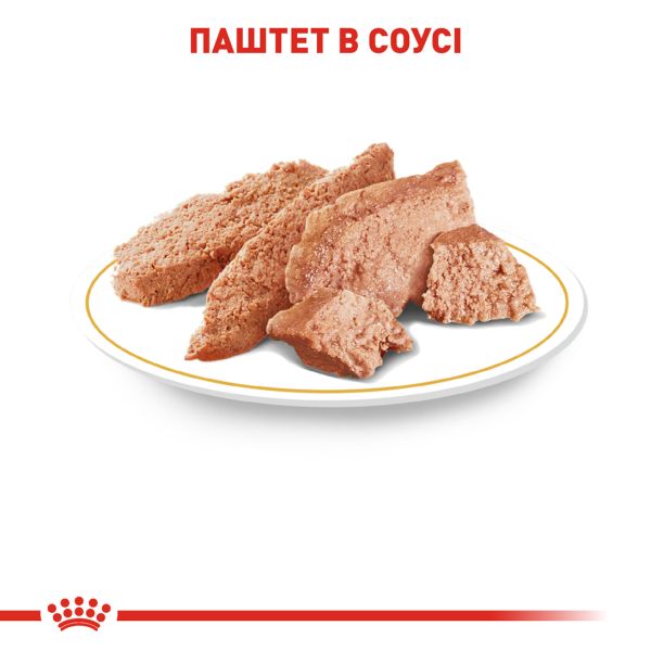 Влажный корм Royal Canin Польша Chihuahua для взрослых собак породы чихуахуа