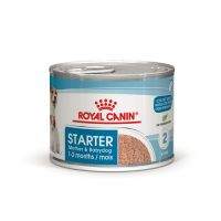Влажный корм Royal Canin Польша Starter Mother & Babydog для беременных/кормящих собак и щенков до 2 месяцев