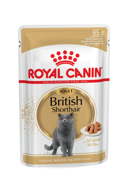 Вологий корм Royal Canin Польща British Shorthair для котів породи британська короткошерста