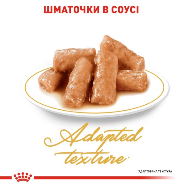 Влажный корм Royal Canin Польша British Shorthair для кошек породы британская короткошерстная