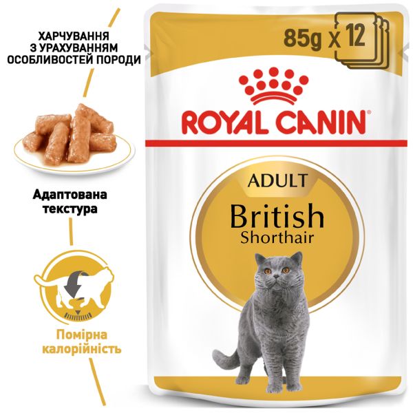 Влажный корм Royal Canin Польша British Shorthair для кошек породы британская короткошерстная