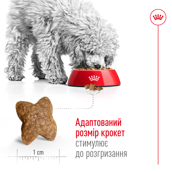 Сухий корм Royal Canin Польща Mini для собак малих порід