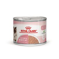 Влажный корм Royal Canin Польша Mother & Babycat для беременных/кормящих кошек и котят от 1 до 4 месяцев