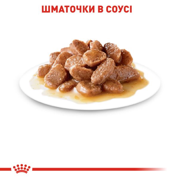 Влажный корм Royal Canin Польша Instinctive для кошек в соусе