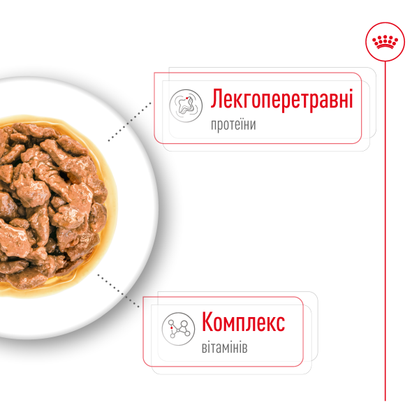 Влажный корм Royal Canin Польша Mini для собак малых пород