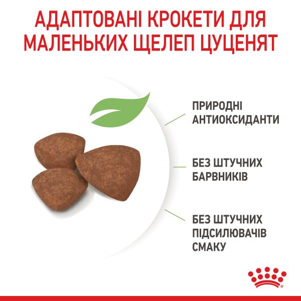 Сухой корм Royal Canin Польша Puppy Mini для щенков малых пород от 2 до 10 месяцев