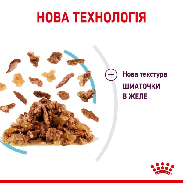 Влажный корм Royal Canin Польша Sensory Feel для прихотливых кошек в желе