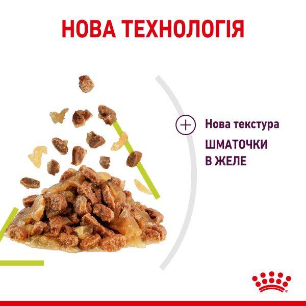 Влажный корм Royal Canin Польша Sensory Smell для привередливых к аромату кошек в желе