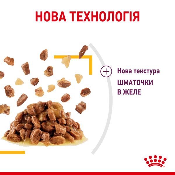 Влажный корм Royal Canin Польша Sensory Taste для прихотливых по вкусу кошек в желе