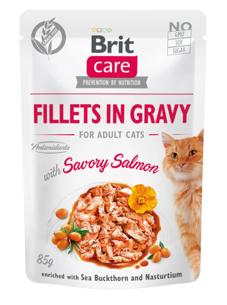 Вологий корм Care Brit для котів з філе лосося в соусі