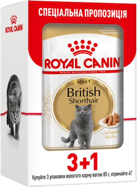 Влажный корм Royal Canin Польша для взрослых кошек British Shorthair Adult 3+1